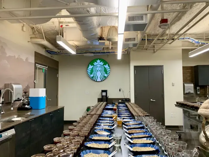 A green coffee cupping table set with rows of tasting bowls and samples.